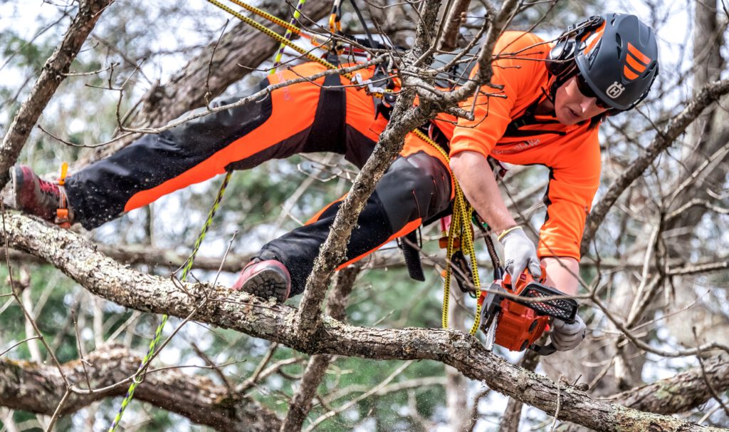 motosierra para poda en altura en Bejerano
