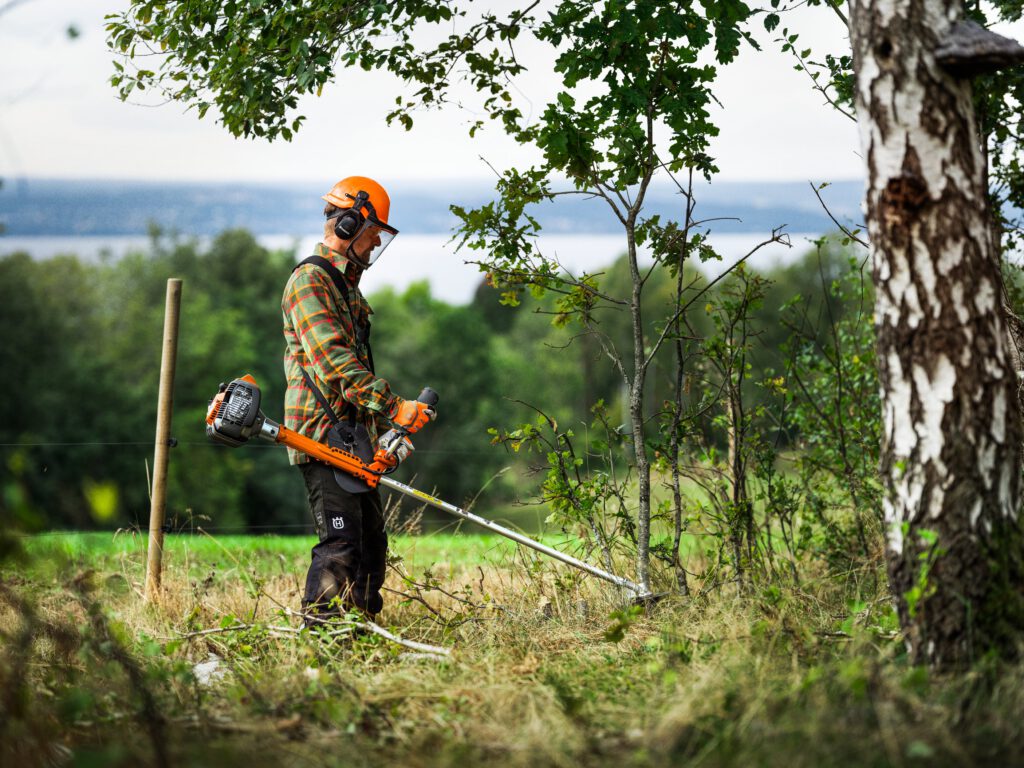 elegir cortacésped o desbrozadora, en Bejerano te asesoramos